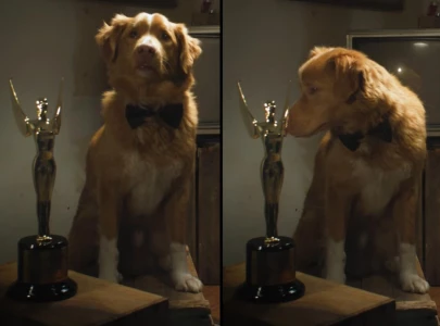 indy the dog beats ethan hawke and alison brie for best performance prize at 2026 astra awards