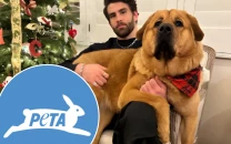 peta weighs in on hasanabi animal abuse scandal