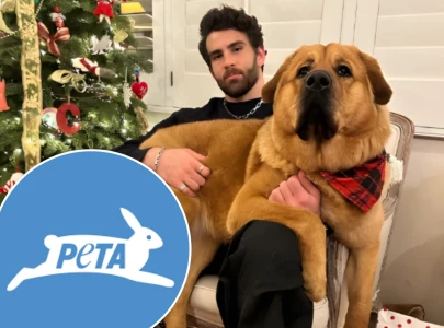 peta weighs in on hasanabi animal abuse scandal peta weighs in on hasanabi animal abuse scandal