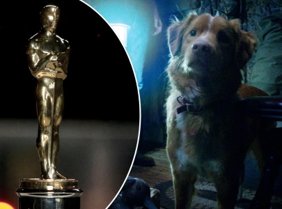 indy the dog from good boy urges oscars to recognise animal actors in historic awards season appeal