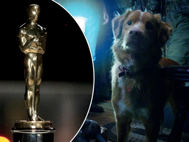 photo reuters what s wrong with your dog