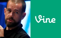 divine everything to know about jack dorsey s vine reboot