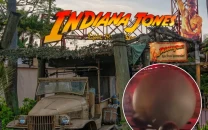 disney world employee hit by 400 pound prop boulder during indiana jones stunt show malfunction