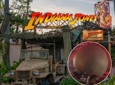 disney world employee hit by 400 pound prop boulder during indiana jones stunt show malfunction disney world employee hit by 400 pound prop boulder during indiana jones stunt show malfunction