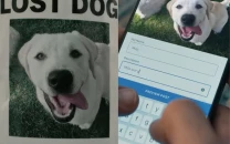 ring s lost dog super bowl ad draws backlash after unveiling ai powered search party feature