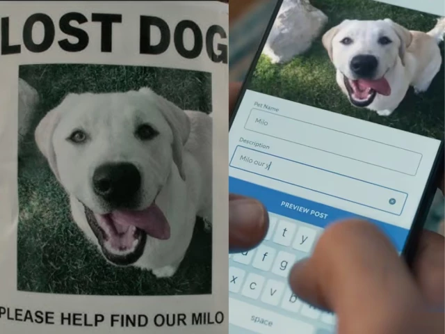 Ring’s ‘Lost Dog’ Super Bowl ad draws backlash after unveiling AI-powered Search Party feature Ring’s ‘Lost Dog’ Super Bowl ad draws backlash after unveiling AI-powered Search Party feature