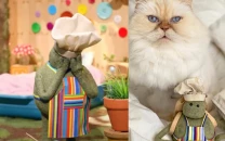 tiny chef reveals pet cat miss penny has died