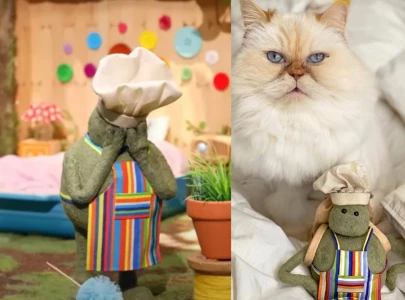 tiny chef reveals pet cat miss penny has died tiny chef reveals pet cat miss penny has died