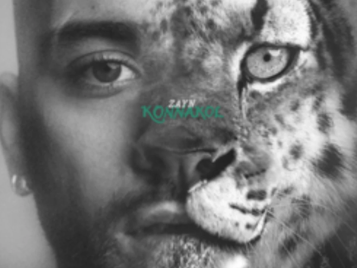 zayn malik explains konnakol album meaning and pakistani musical influences in new interview