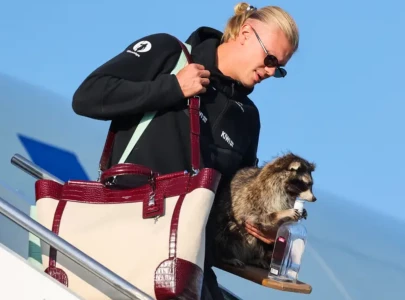 erling haaland returns home with new dolce gabbana tote bag and taxidermy raccoon souvenir from us