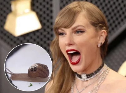 who is snailor swift taylor swift inspired snail wins world snail racing championships in norfolk