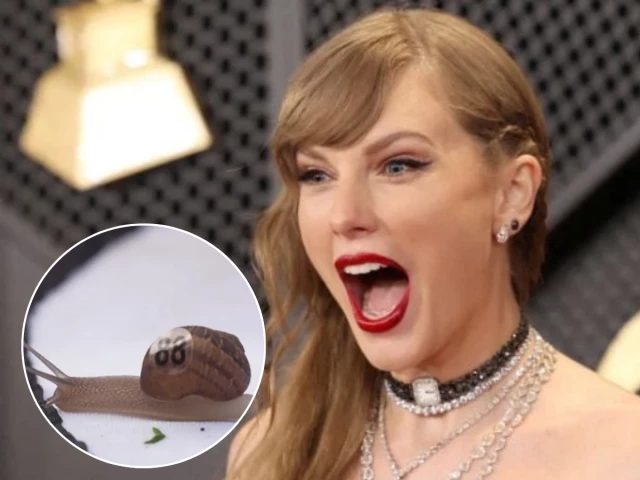 Who is Snailor Swift? Taylor Swift-inspired snail wins World Snail Racing Championships in Norfolk Who is Snailor Swift? Taylor Swift-inspired snail wins World Snail Racing Championships in Norfolk