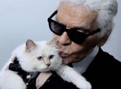 karl lagerfeld s cat choupette reportedly broke amid 1 5 million inheritance dispute