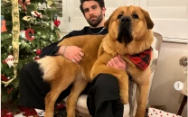 hasanabi denies animal abuse allegations after viral clip hasanabi denies animal abuse allegations after viral clip