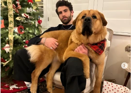 hasanabi faces backlash after viral video sparks allegations of animal cruelty on livestream hasanabi faces backlash after viral video sparks allegations of animal cruelty on livestream