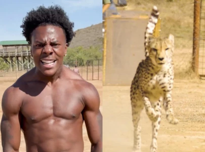 ishowspeed competes in sprint against a cheetah as new viral video circulates ishowspeed competes in sprint against a cheetah as new viral video circulates