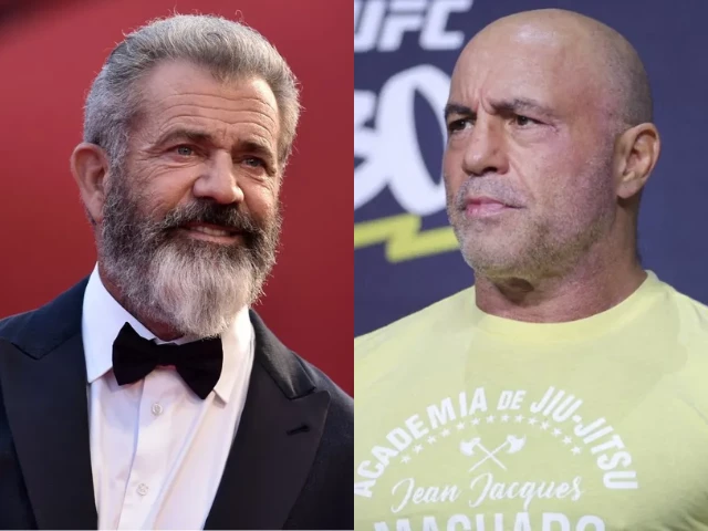 mel gibson and joe rogan codemn california governor gavin newsom for l a fires mel gibson and joe rogan codemn california governor gavin newsom for l a fires