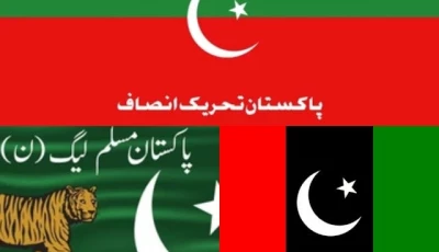 pti pml n ppp flags photo file
