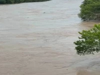 five day rain spell puts punjab k p on alert