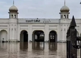the invisible victims of floods