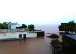 floodhit pakistan india face rising basmati prices floodhit pakistan india face rising basmati prices