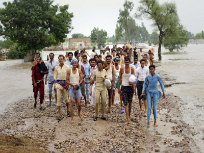 losses worth rs8b to k p livestock sector losses worth rs8b to k p livestock sector