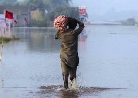 pakistan s strategic climate agenda for cop29