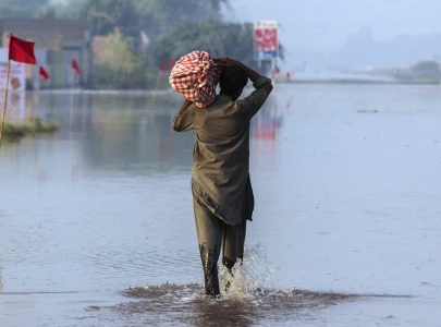 pakistan s strategic climate agenda for cop29 pakistan s strategic climate agenda for cop29