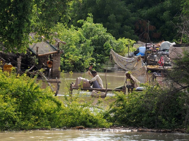 after the deluge dogs and men hunt a wild menace