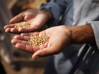 media watch floods slow aid and a reality check