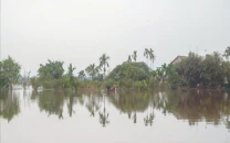 south asia must act together or face climate catastrophe experts