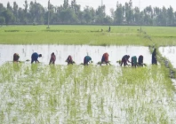 farming photo anadolu agency
