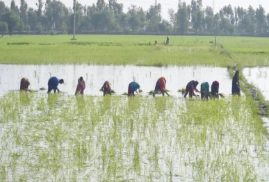 farming photo anadolu agency