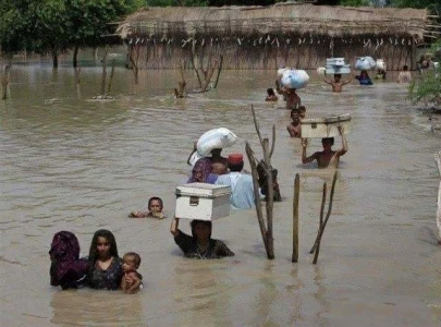 sindh govt constitutes committees for flood relief damage assessment
