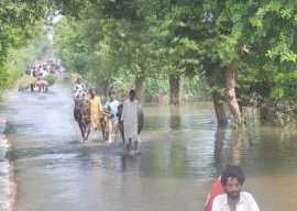 pakistan stops short of blaming india for floods pakistan stops short of blaming india for floods