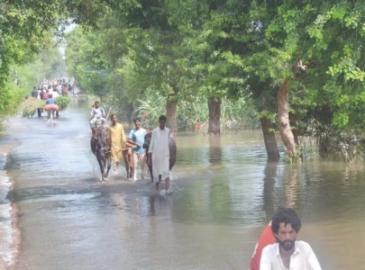 pakistan stops short of blaming india for floods pakistan stops short of blaming india for floods