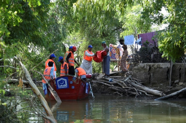 villagers brave snakes and hunger to protect land in flooded sindh villagers brave snakes and hunger to protect land in flooded sindh