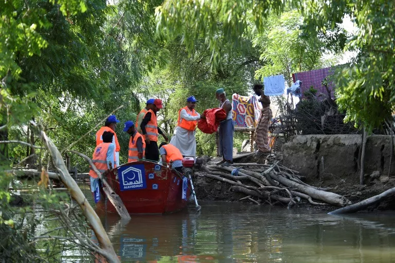 villagers brave snakes and hunger to protect land in flooded sindh villagers brave snakes and hunger to protect land in flooded sindh