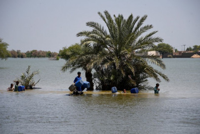 flood rehabilitation efforts go in vain flood rehabilitation efforts go in vain