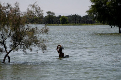 fresh flood swamps what previous deluge spared