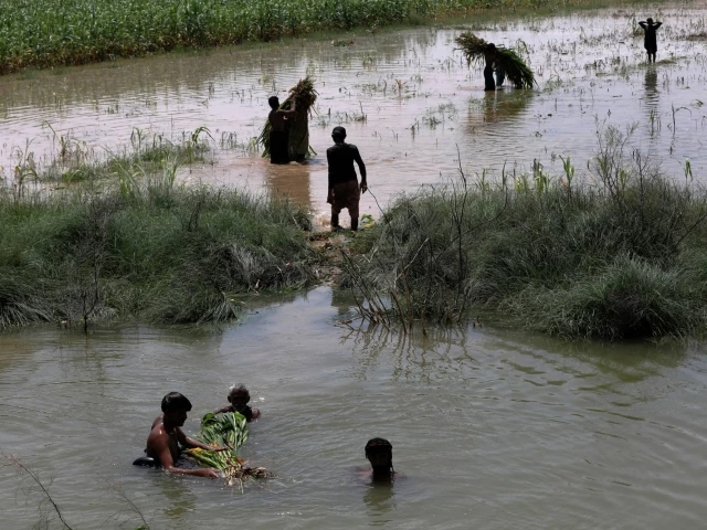 pakistan to host un conference on space technology for disaster warnings climate action suparco pakistan to host un conference on space technology for disaster warnings climate action suparco