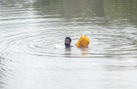 a farmer swims while using an empty canister through a flooded area near qasim bela village on the outskirts of multan photo reuters