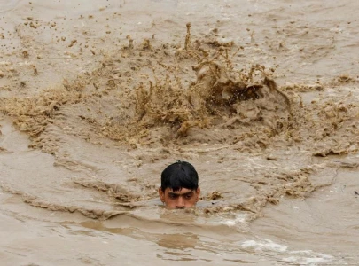 thousands of fish farms wiped out as floods batter punjab thousands of fish farms wiped out as floods batter punjab