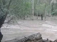 photo express