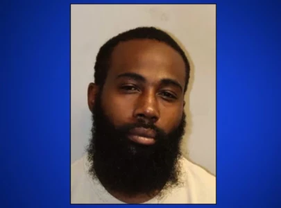 florida man poses as veterinarian kills dog