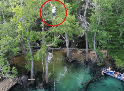 florida man falls 60 feet into creek after branch breaks