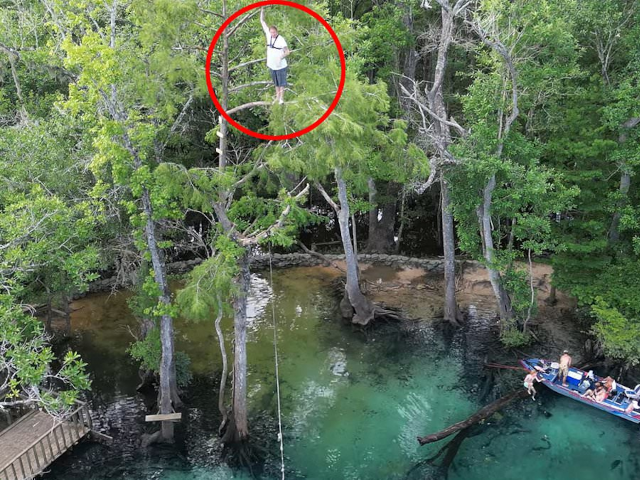 florida man falls 60 feet into creek after branch breaks florida man falls 60 feet into creek after branch breaks