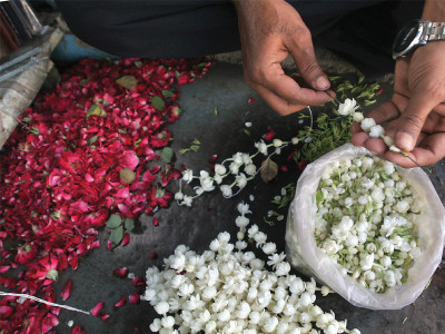 economic downturn teen hatti florists fight their queen of the night handcuffs economic downturn teen hatti florists fight their queen of the night handcuffs