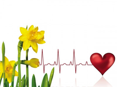 passing on the daffodil