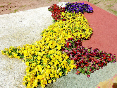 spring gala colour fragrance and birds attract people